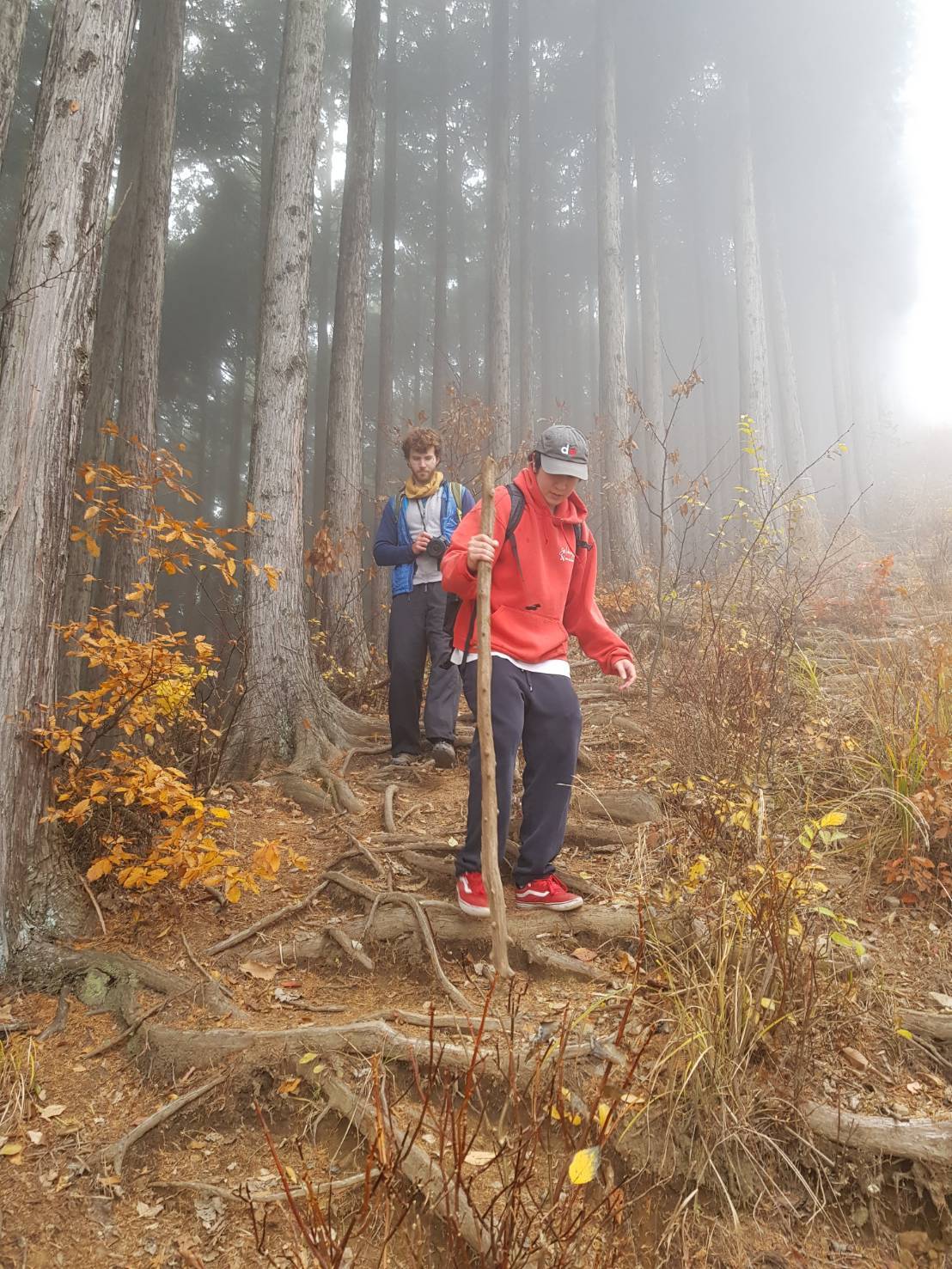 Japan, 2023 - Okutama hiking (with Villads)